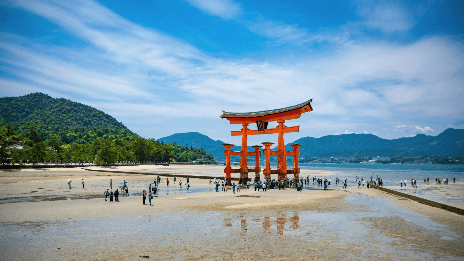 広島で、